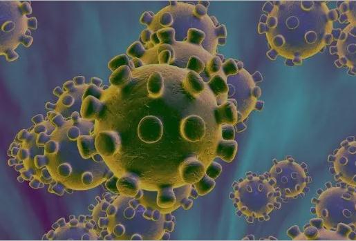 ข้อกำหนดขั้นพื้นฐานและขั้นตอนการตรวจจับแอนติเจนใหม่ของ coronavirus